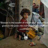 Fundraising Page: Abeer Seleh